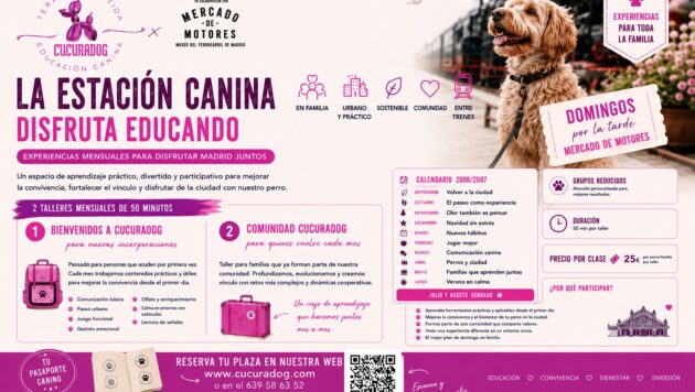 CUCURADOG_MERCADODEMOTORES_JUNIO_