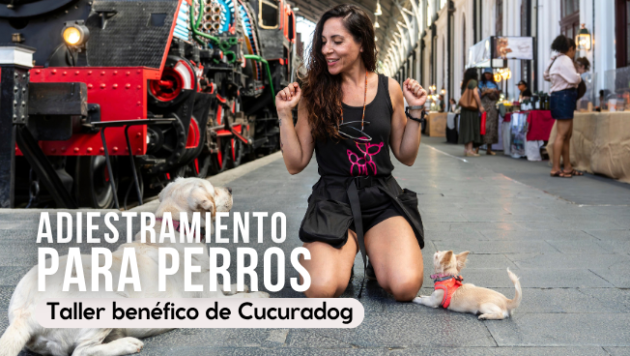 ACUMBA-WEB_cucuradog